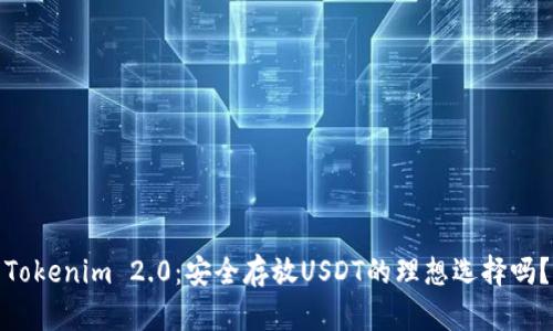 Tokenim 2.0：安全存放USDT的理想选择吗？