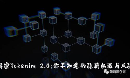 解密Tokenim 2.0：你不知道的隐藏机遇与风险