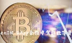 如何在TokenIM DApp合约中驾