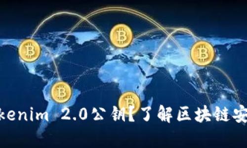 什么是Tokenim 2.0公钥？了解区块链安全的关键