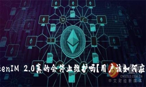 TokenIM 2.0真的会停止维护吗？用户该如何应对？