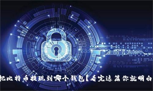 想把比特币提现到哪个钱包？看完这篇你就明白了！