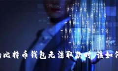 当你的比特币钱包无法取