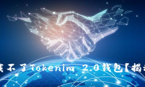 为何你的苹果手机下载不了Tokenim 2.0钱包？揭秘常见问题与解决方案