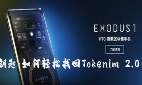 : 失落的钥匙：如何轻松找回Tokenim 2.0钱包密码？