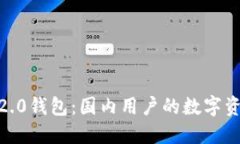 Tokenim 2.0钱包：国内用户的