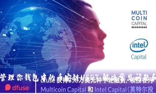 如何安全管理你钱包中的币安链USDT：解决常见问题和最佳实践