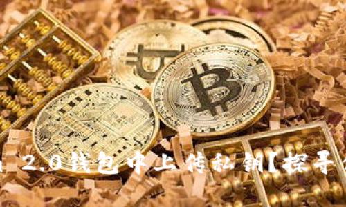 如何安全地在Tokenim 2.0钱包中上传私钥？探寻你的数字资产保护之道