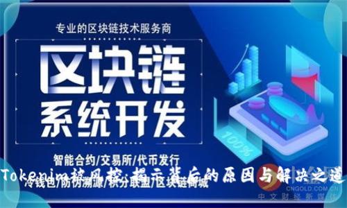 Tokenim被风控：揭示背后的原因与解决之道
