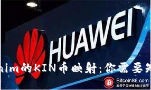 揭秘Tokenim的KIN币映射：你需要知道的一切