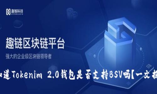 你知道Tokenim 2.0钱包是否支持BSV吗？一文揭晓！