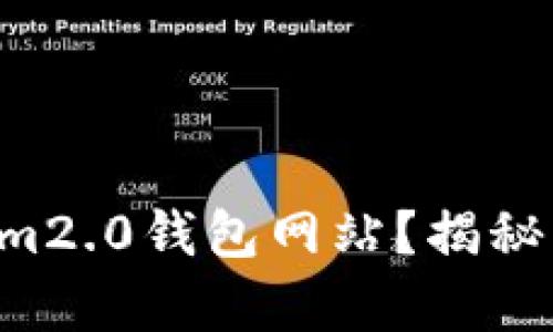 无法打开Tokenim2.0钱包网站？揭秘问题背后的真相！