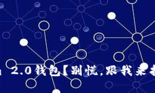手机丢失Tokenim 2.0钱包？别慌，跟我来找回你的数字资产！