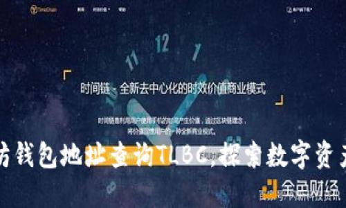 如何通过以太坊钱包地址查询TLBC，探索数字资产的无限可能性