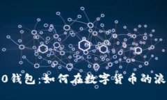 探秘Tokenim20钱包：如何在