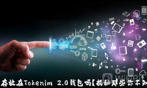 
SHIB可以安全存放在Tokenim 2.0钱包吗？揭秘那些你不知道的保管技巧