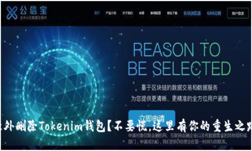 意外删除Tokenim钱包？不要慌，这里有你的重生之路！