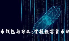 理解比特币钱包与分叉：