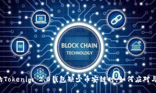 当你的Tokenim 2.0钱包缺少币安链时，如何应对与解决？