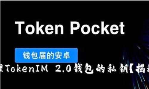 如何安全查看和管理TokenIM 2.0钱包的私钥？揭秘你需要知道的一切