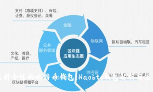 如何选择合适的比特币钱包：Haobtc钱包解析与使用指南