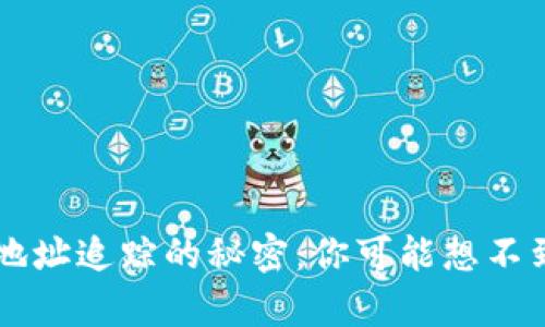 虚拟币钱包地址追踪的秘密：你可能想不到的隐蔽真相