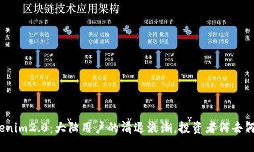 Tokenim2.0：大陆用户的清退浪潮，投资者何去何从？