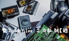 如何安全下载Tokenim 2.0私钥