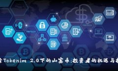 探索Tokenim 2.0下的山寨币：
