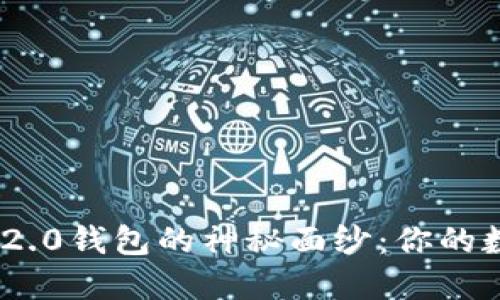 揭开Tokenim 2.0钱包的神秘面纱：你的数字资产守护者