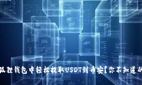 如何在小狐狸钱包中轻松提取USDT到币安？你不知道的技巧揭秘