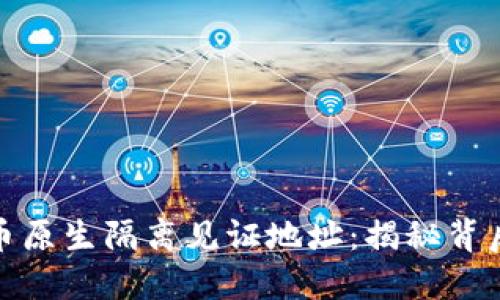 深入了解比特币原生隔离见证地址：揭秘背后的安全与便捷