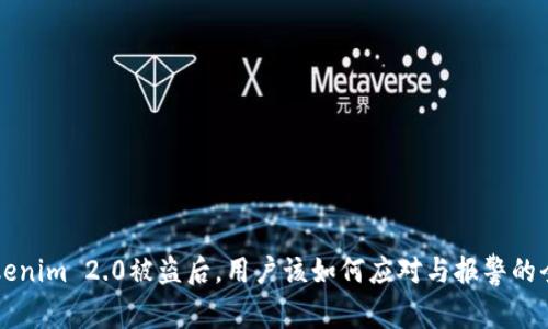 当Tokenim 2.0被盗后，用户该如何应对与报警的全攻略