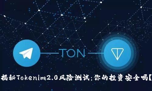 揭秘Tokenim2.0风险测试：你的投资安全吗？