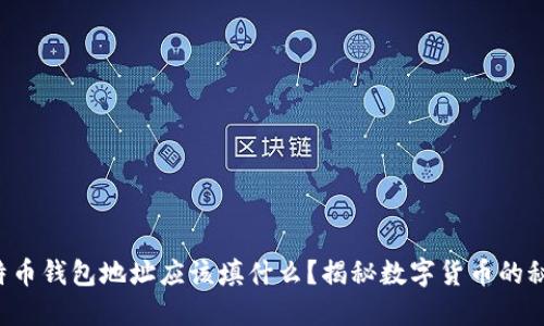 比特币钱包地址应该填什么？揭秘数字货币的秘密！