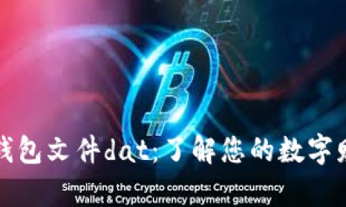 比特币钱包文件dat：了解您的数字财富保障