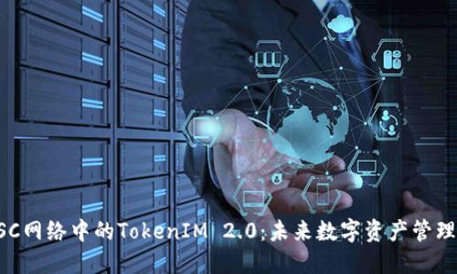 深入解读BSC网络中的TokenIM 2.0：未来数字资产管理的完美工具