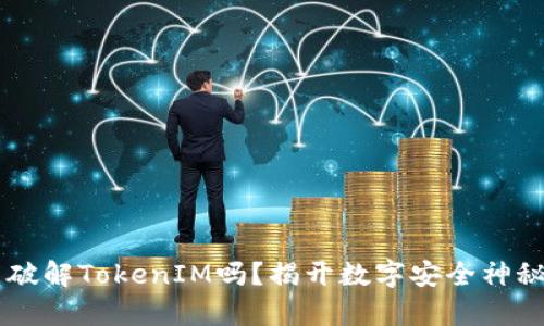 黑客真的能破解TokenIM吗？揭开数字安全神秘面纱的真相