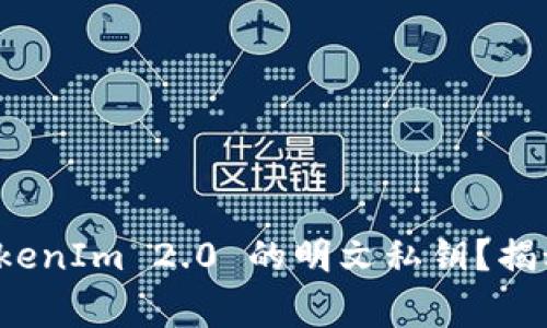 如何安全导出 TokenIm 2.0 的明文私钥？揭秘步骤与注意事项