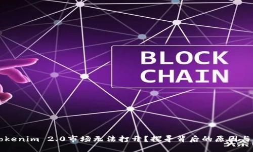 为什么Tokenim 2.0市场无法打开？探寻背后的原因与解决方案