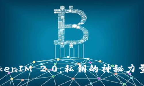 深入探讨TokenIM 2.0：私钥的神秘力量与安全保护