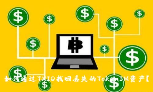 如何通过TXID找回丢失的TokenIM资产？