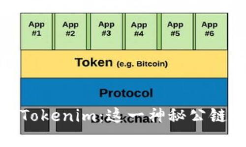 ### 揭秘Tokenim：这一神秘公链的真正面貌