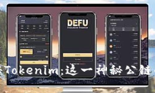 ### 揭秘Tokenim：这一神秘公链的真正面貌