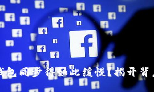 为什么我的比特币钱包同步得如此缓慢？揭开背后的原因与解决方案