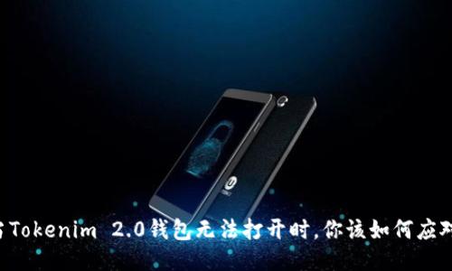 当Tokenim 2.0钱包无法打开时，你该如何应对？