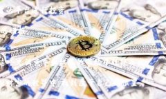 在数字财富的世界中：如