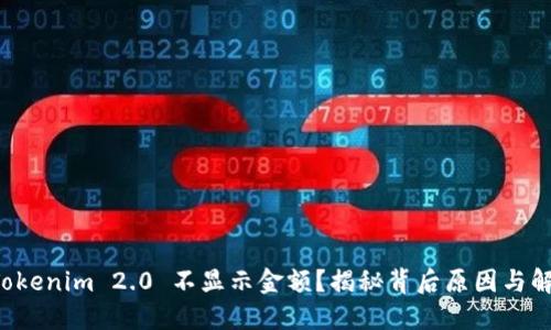 为何 Tokenim 2.0 不显示金额？揭秘背后原因与解决方案