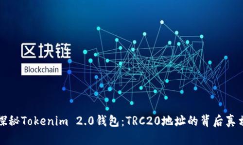 探秘Tokenim 2.0钱包：TRC20地址的背后真相