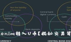 如何将Tokenim转入U币？揭秘